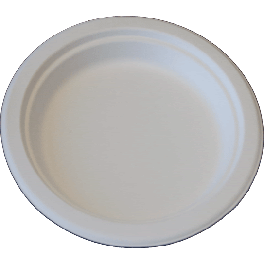 9" Sugar Cane Plate