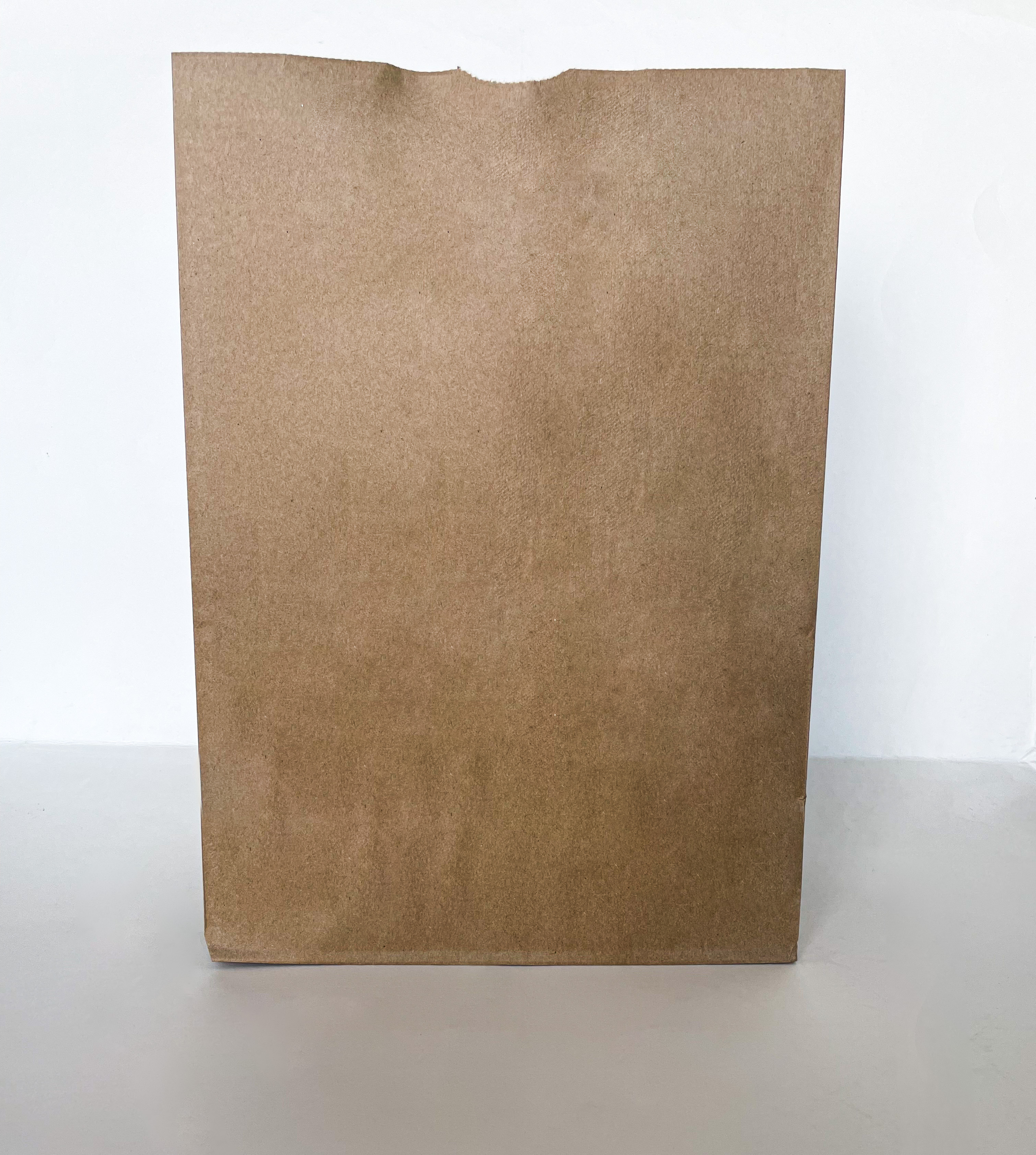 BW60 Brown Grocery Bag