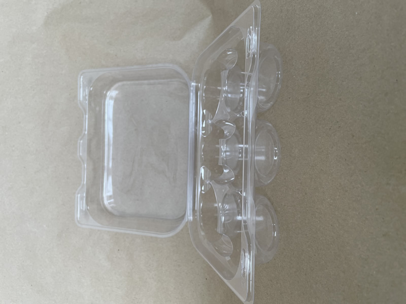 PLA Compostable Large 6 Cupcake Container Canada Green Natural Products