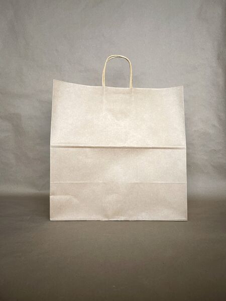 Kraft Twisted Handle Bag 13