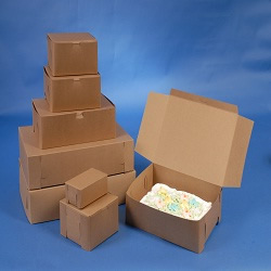 Bakery Boxes- Canada Green Natural Products
